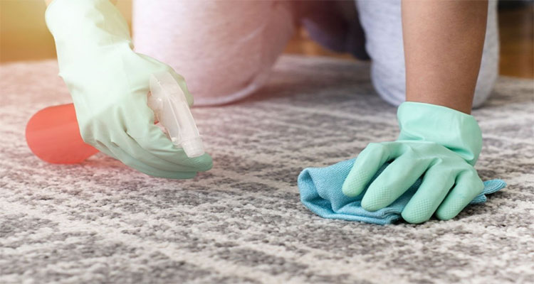  نحوه تمیز کردن فرش در خانه