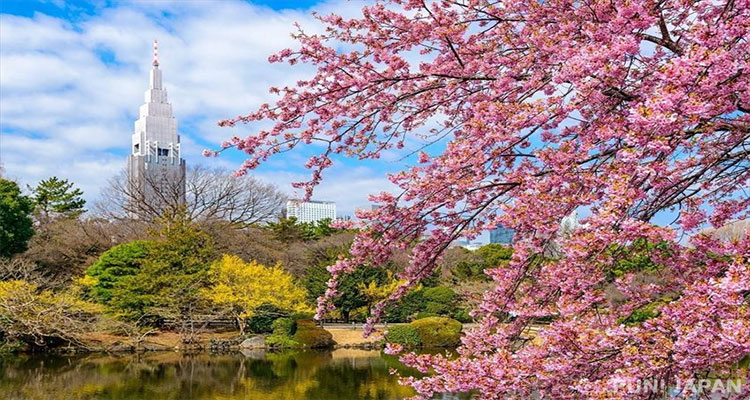 باغ ملی توکیو