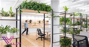گیاهان آپارتمانی مقاوم برای محل کار خانه داری