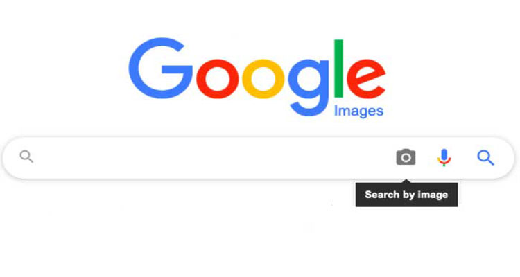 چگونگی سرچ عکس در گوگل