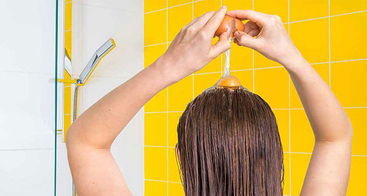 نحوه استفاده زرده تخمه مرغ برای ریزش مو