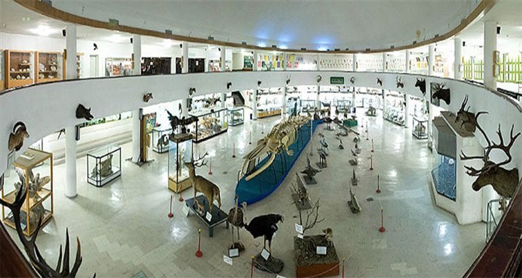 موزه  های همدان 